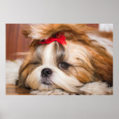 あなたのペット犬の子犬のカスタム写真 ポスター (正面)