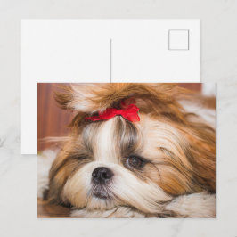 あなたのペット犬の子犬のカスタム写真 ポストカード