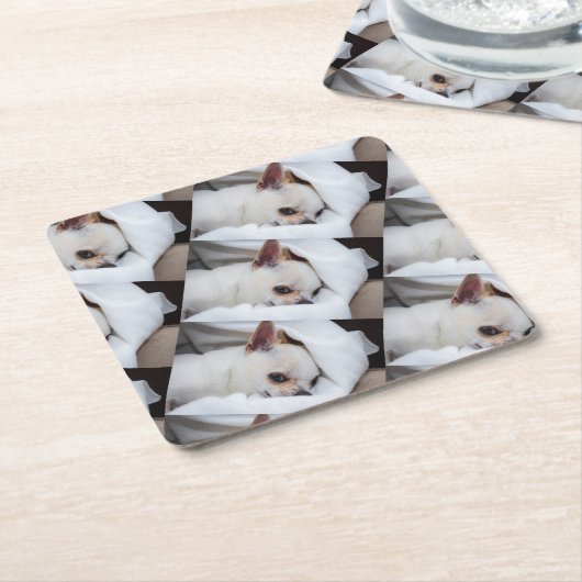 あなたのペット犬の子犬カスタムの写真chihuaパターン スクエアペーパーコースター (アングル)