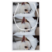 あなたのペット犬の子犬カスタムの写真chihuaパターン スモールペーパーバッグ (裏面)