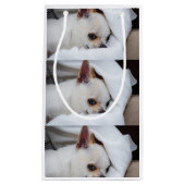 あなたのペット犬の子犬カスタムの写真chihuaパターン スモールペーパーバッグ (正面)