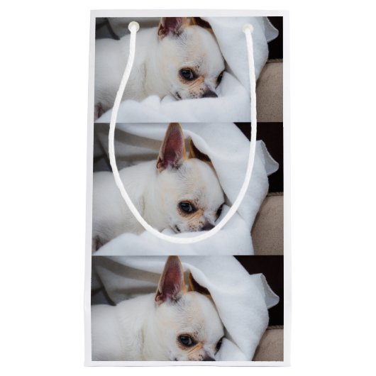 あなたのペット犬の子犬カスタムの写真chihuaパターン スモールペーパーバッグ (正面)