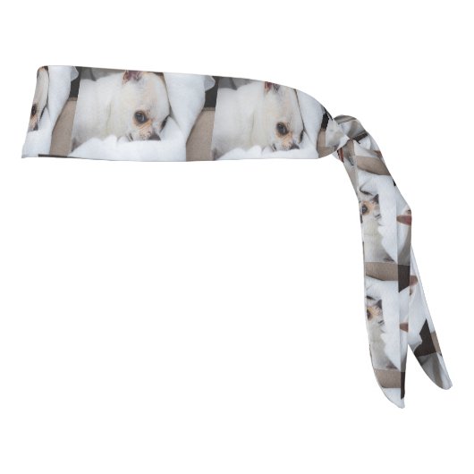 あなたのペット犬の子犬カスタムの写真chihuaパターン タイヘッドバンド (回転90)