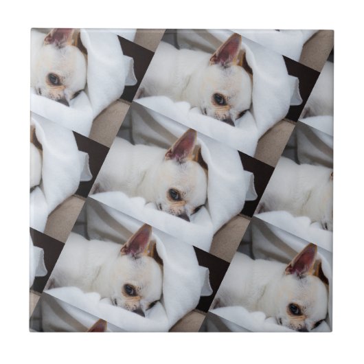 あなたのペット犬の子犬カスタムの写真chihuaパターン タイル (正面)