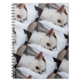 あなたのペット犬の子犬カスタムの写真chihuaパターン ノートブック (正面)