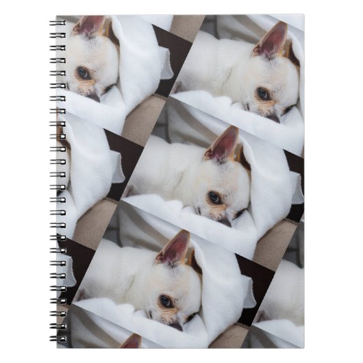 あなたのペット犬の子犬カスタムの写真chihuaパターン ノートブック (正面)