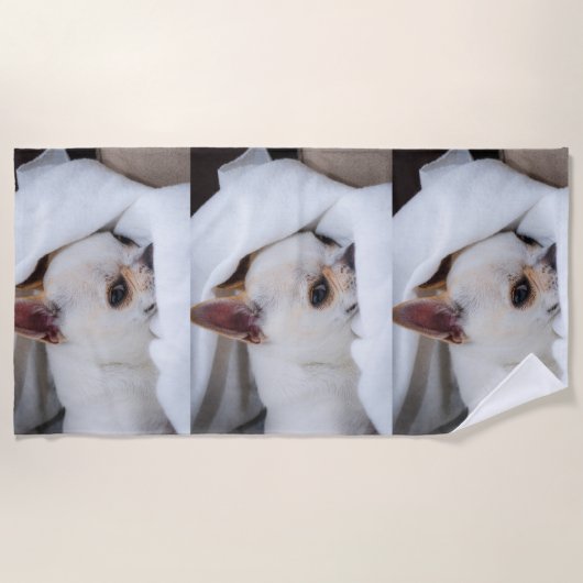 あなたのペット犬の子犬カスタムの写真chihuaパターン ビーチタオル (正面)