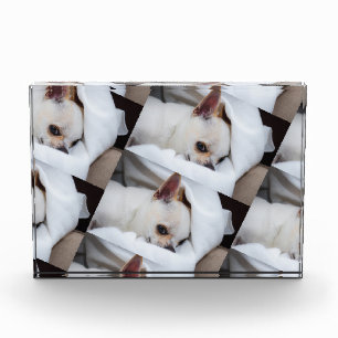 あなたのペット犬の子犬カスタムの写真chihuaパターン フォトブロック