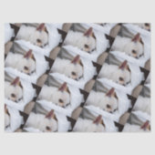 あなたのペット犬の子犬カスタムの写真chihuaパターン 薄葉紙 (正面)