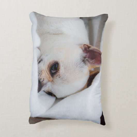 あなたのペット犬の子犬カスタムの写真chihuahua アクセントクッション (裏面(縦))