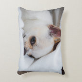 あなたのペット犬の子犬カスタムの写真chihuahua アクセントクッション (正面(垂直))