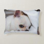 あなたのペット犬の子犬カスタムの写真chihuahua アクセントクッション (裏面)