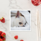 あなたのペット犬の子犬カスタムの写真chihuahua スタンダードカクテルナプキン (インサイチュ)