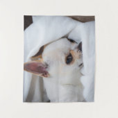 あなたのペット犬の子犬カスタムの写真chihuahua タペストリー (正面)