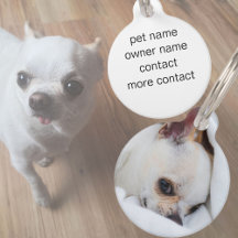 あなたのペット犬の子犬カスタムの写真chihuahua