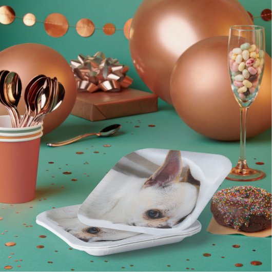 あなたのペット犬の子犬カスタムの写真chihuahua ペーパープレート (複数)