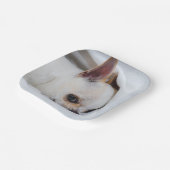 あなたのペット犬の子犬カスタムの写真chihuahua ペーパープレート (傾斜あり)