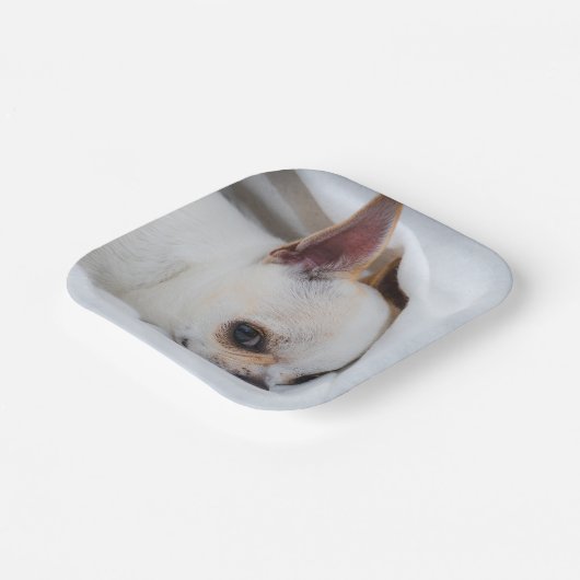 あなたのペット犬の子犬カスタムの写真chihuahua ペーパープレート (傾斜あり)