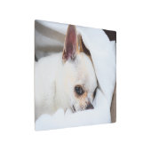 あなたのペット犬の子犬カスタムの写真chihuahua メタルプリント (アングル)
