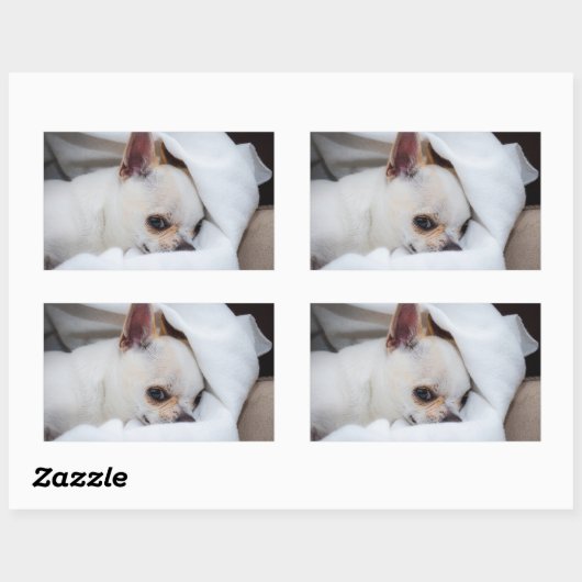 あなたのペット犬の子犬カスタムの写真chihuahua 長方形シール (シート)