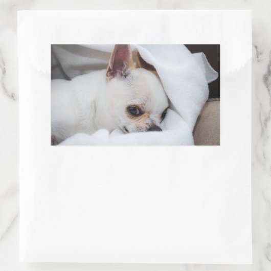 あなたのペット犬の子犬カスタムの写真chihuahua 長方形シール (バッグ)