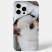 あなたのペット犬の子犬カスタムの写真chihuahua Case-Mate iPhoneケース (裏面)