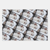 あなたのペット犬の子犬3カスタムの写真chihuahua ラッピングペーパーシート (正面)