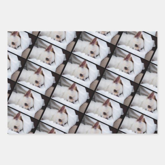 あなたのペット犬の子犬3カスタムの写真chihuahua ラッピングペーパーシート (正面)