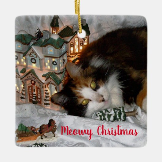 あなたのペット猫または犬の写真 クリスマス セラミックオーナメント (正面)