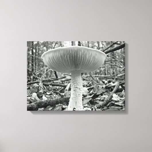 あなたのペティコートが表示されている – アマニタ キャンバスプリント (正面)