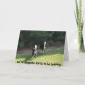 あなたのホスピタリティカード（犬） サンキューカード (裏面)