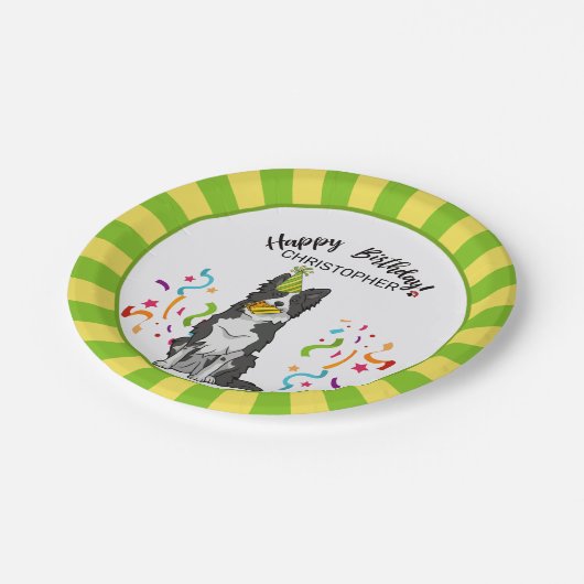 あなたのボーダーコリー犬のパーティーとのハッピーバースデー ペーパープレート (アングル)