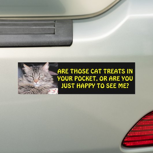 あなたのポケットの猫の御馳走か。 ミーム バンパーステッカー (車上)