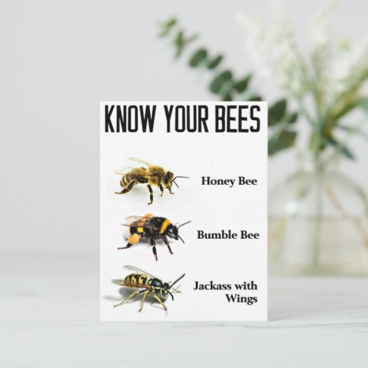あなたのミツバチを知っている ポストカード (スタンド正面)