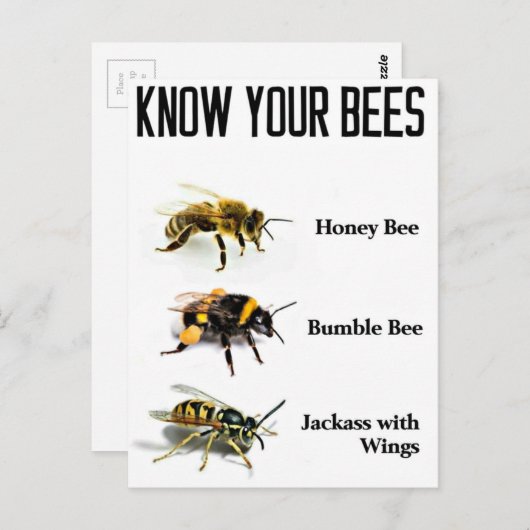 あなたのミツバチを知っている ポストカード (正面/裏面)