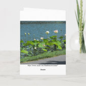 あなたのメッセージの~ 26 サンキューカード (裏面)