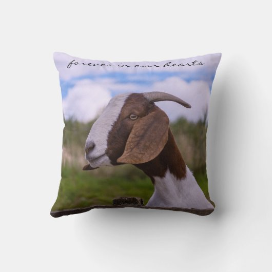 あなたのヤギの写真悔やみや弔慰Mehで私を持っていた クッション (裏面)