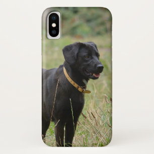 あなたのラブラドル・レトリーバー犬のあなた自身の写真を挿入して下さ iPhone X ケース