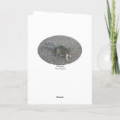 あなたのリスのバレンタインカードについてのナッツ シーズンカード (裏面)