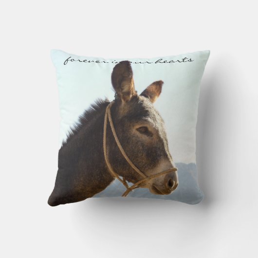 あなたのロバの写真悔やみや弔慰HeHawで私を持っていた クッション (裏面)