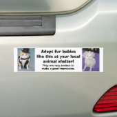 あなたのローカル避難所でこのような毛皮のベビーを採用して下さい バンパーステッカー (車上)