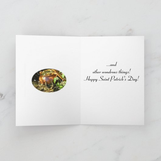 「あなたの一日が魔法で満たされますように！」 カード (内部)