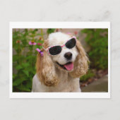 あなたの一日のハガキを明るくする – コッカースパニエル犬 ポストカード (正面)
