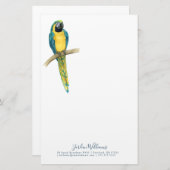 あなたの一流の|のティール（緑がかった色）のコンゴウインコを加えて下さい 便箋 (正面/裏面)