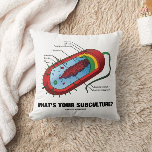 あなたの下位社会は何ですか。 (Prokaryoteの細菌) クッション (ブランケット)