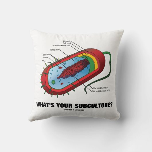 あなたの下位社会は何ですか。 (Prokaryoteの細菌) クッション (裏面)