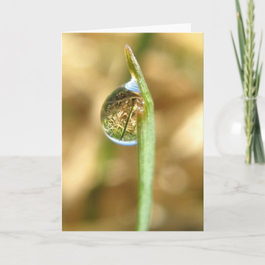 あなたの世界はカードひっくり返しました カード (正面)