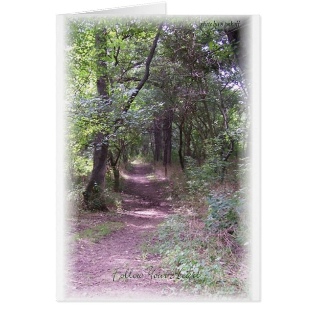 あなたの中心の道を後を追って下さい (正面)