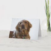 あなたの休暇が輝かしいものになりますように シーズンカード (正面)