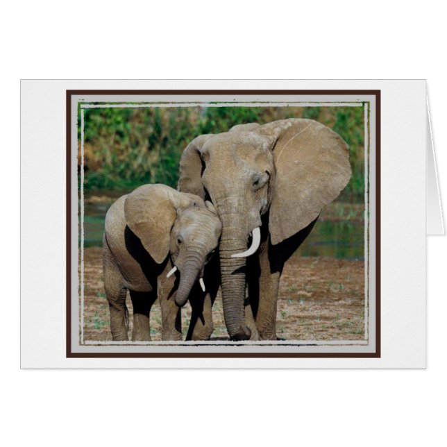 あなたの側面常にによって (正面横)